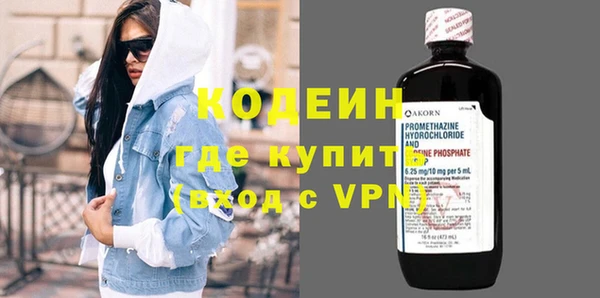 хмурый Аркадак
