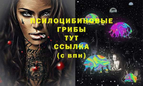 хмурый Аркадак