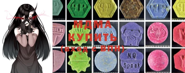 хмурый Аркадак