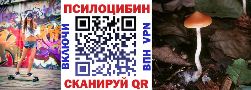 hydra   Волжск  даркнет какой сайт  закладка  Галлюциногенные грибы Psilocybe 